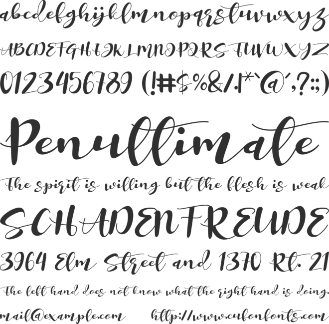 Miracle Nature font preview
