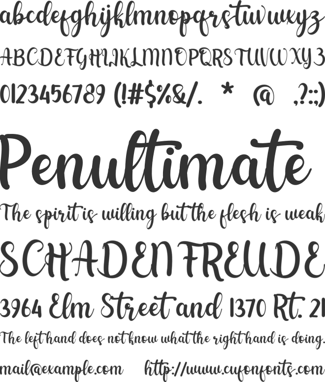 shelya font preview