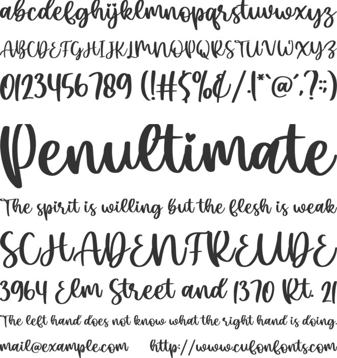 Ellisha font preview