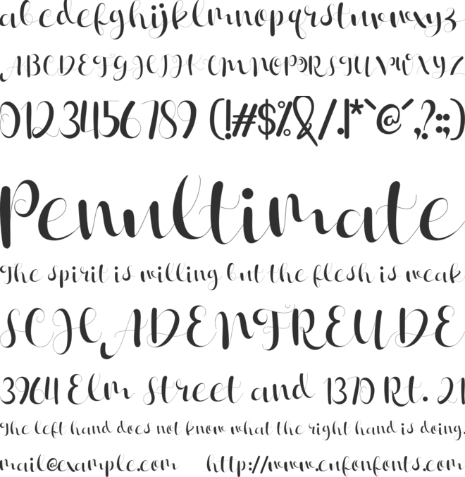 Janetha Hasley font preview