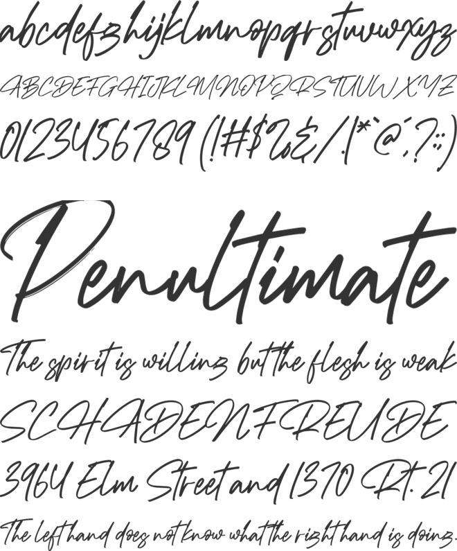 Richard Hamilton font preview