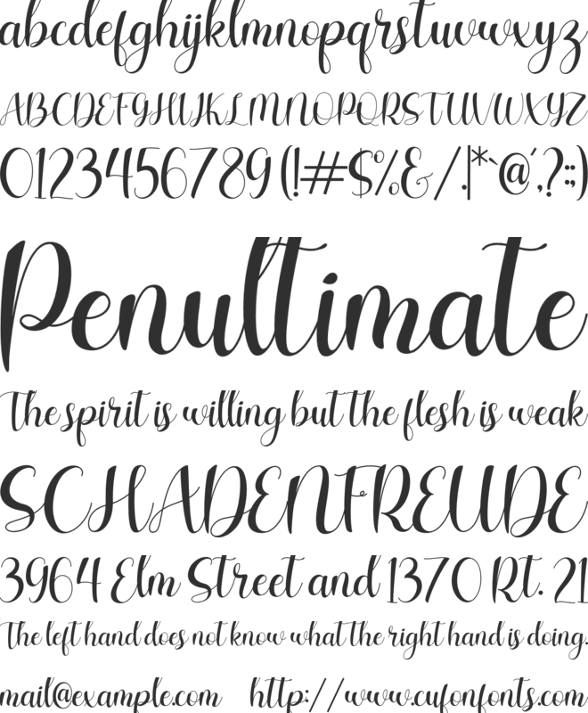 Charlotte Wilson font preview