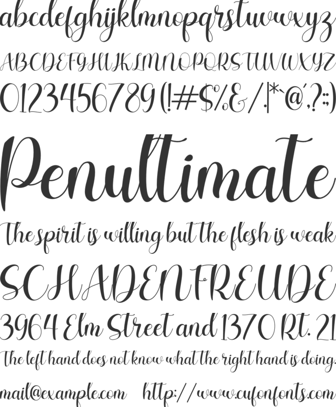 Charlotte Wilson font preview