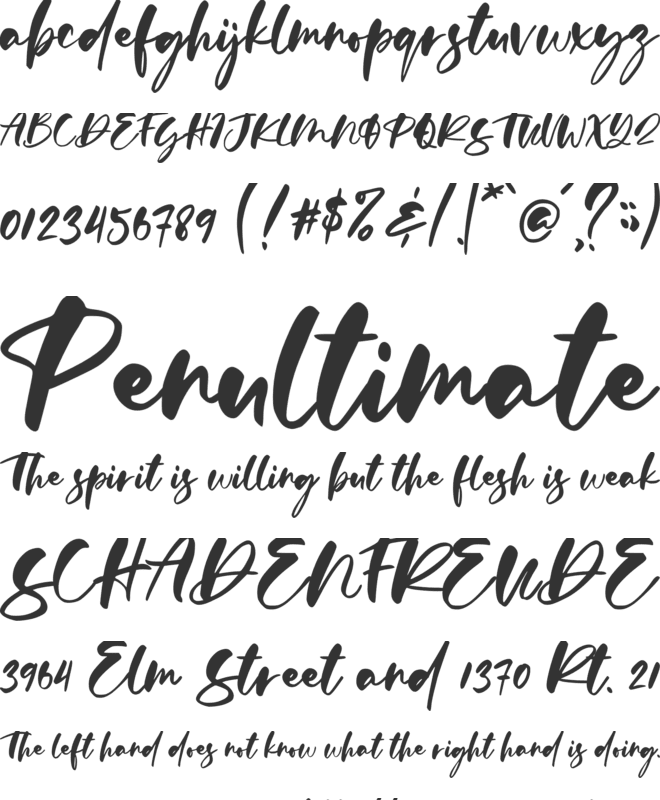 Calysta Rose font preview