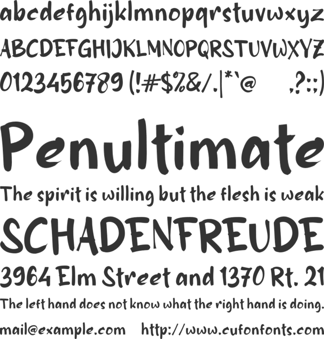 b Biasa font preview