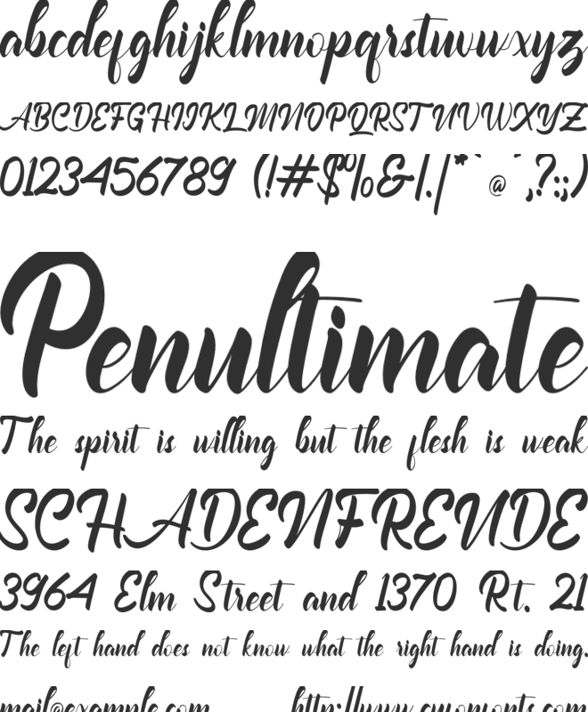Welcoming New Year font preview