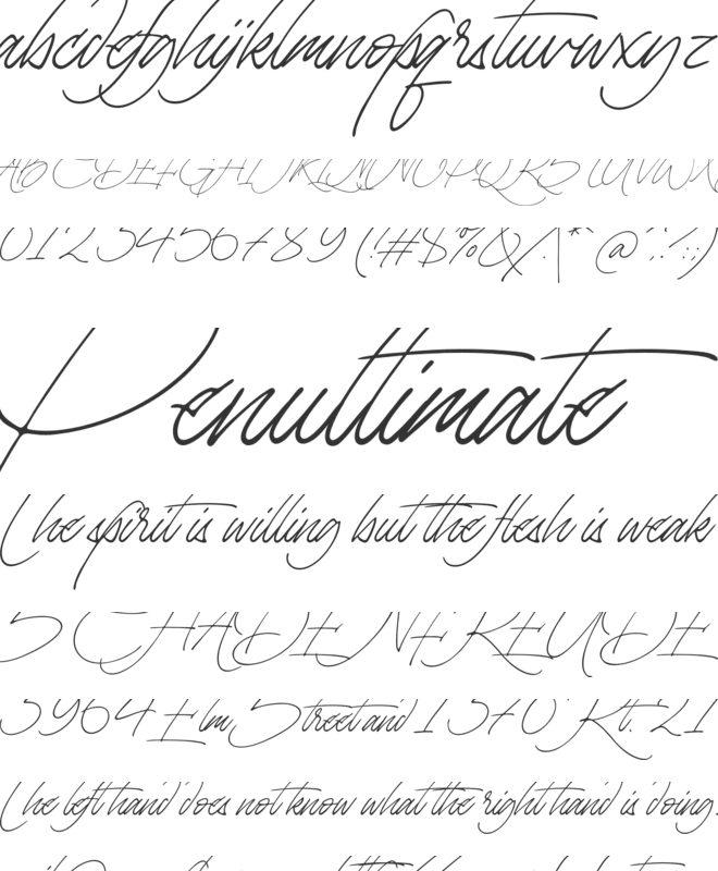 La Monte font preview