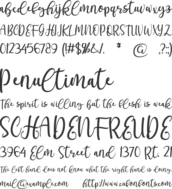 andiani font preview