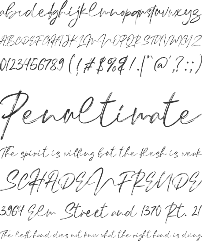 Thinkers font preview