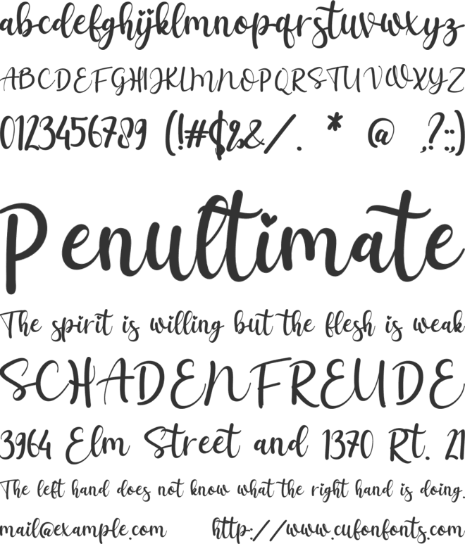 Salista font preview