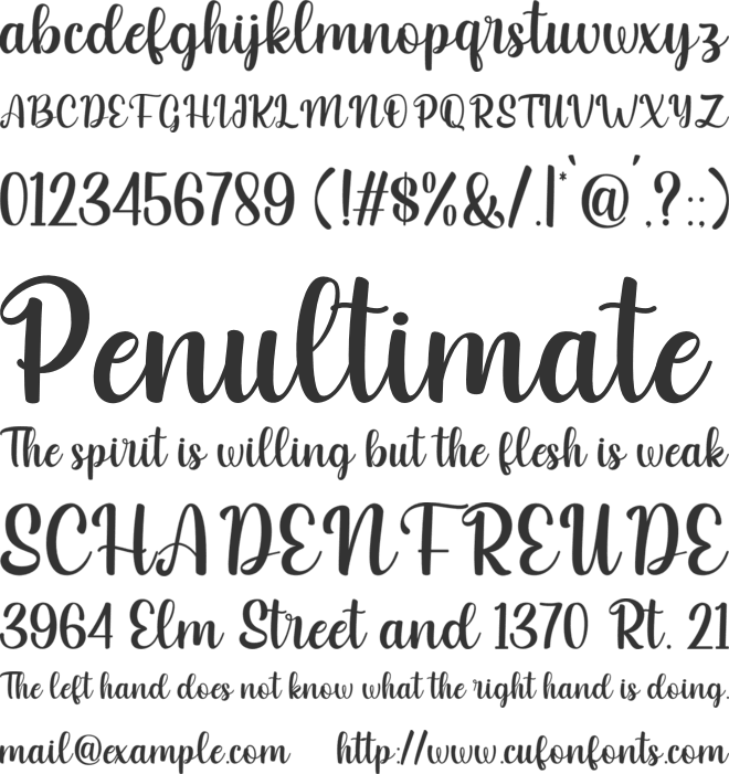 Christmas and Santona font preview
