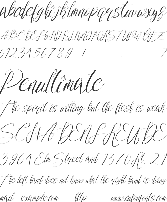 Wedding Joy font preview