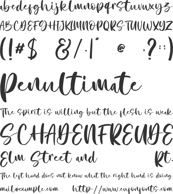 Natusha Bayor font preview