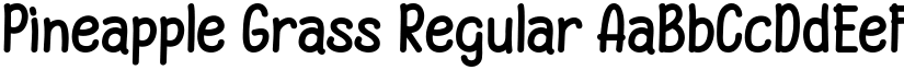 Pineapple Grass Regular font
