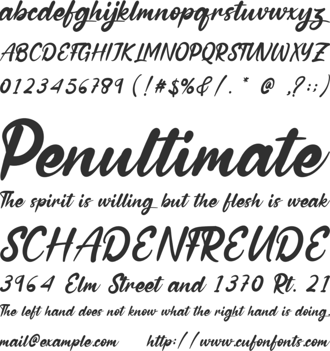 Winter Holidays font preview
