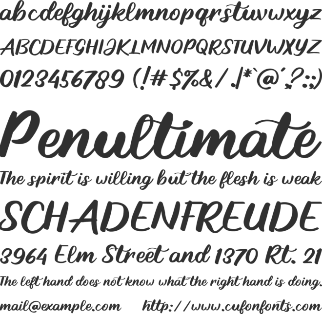 Stay Here font preview