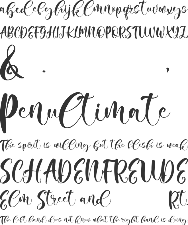 Camila Audrey font preview