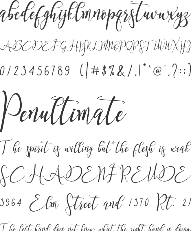 Snowy Holiday font preview