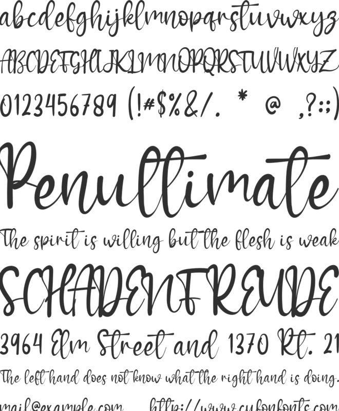 Winter House font preview