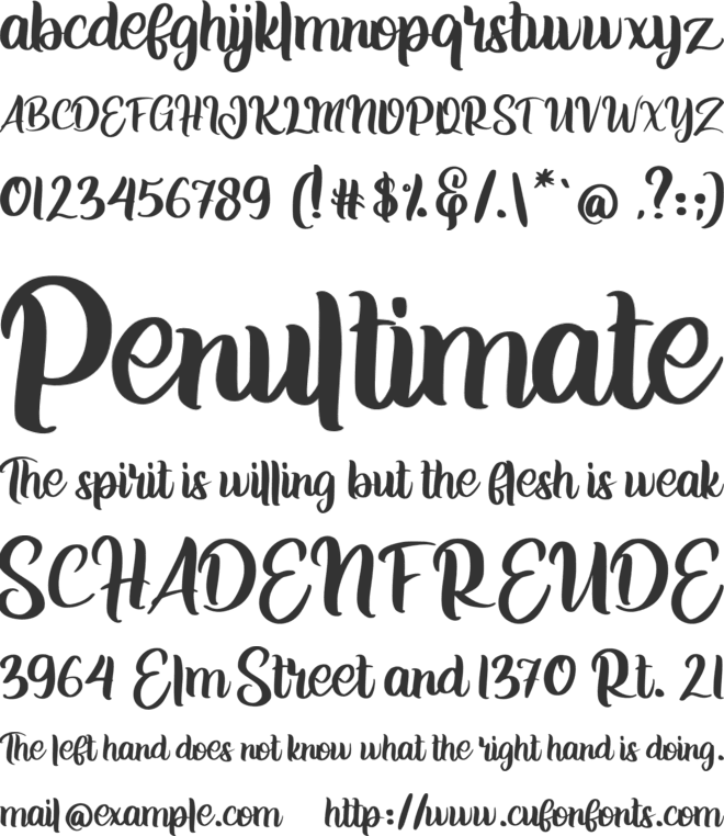 Jelita font preview