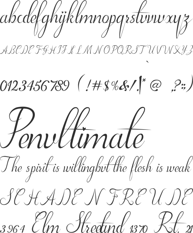 Kylie font preview