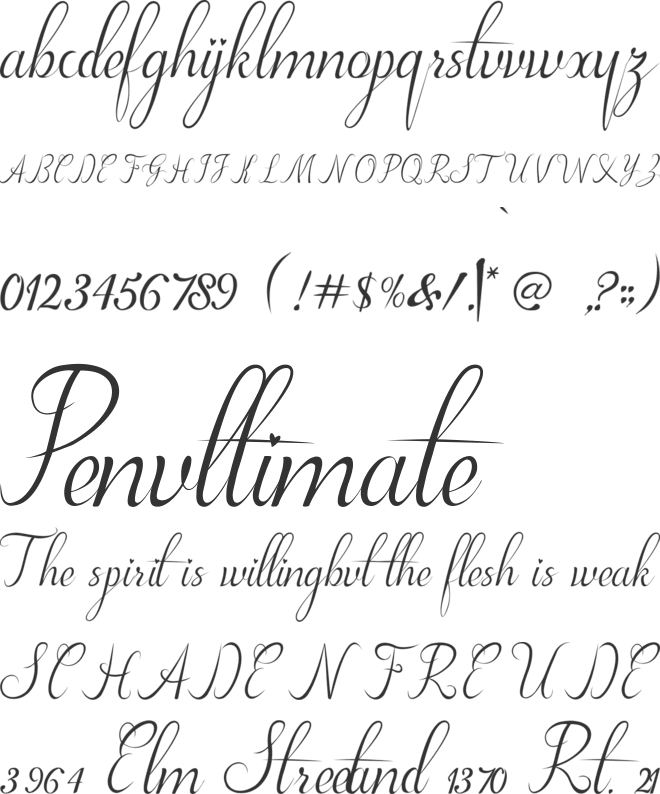 Kylie font preview