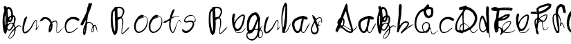 Bunch Roots Regular font