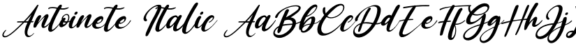 Antoinete Italic font