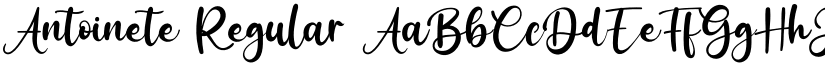 Antoinete Regular font