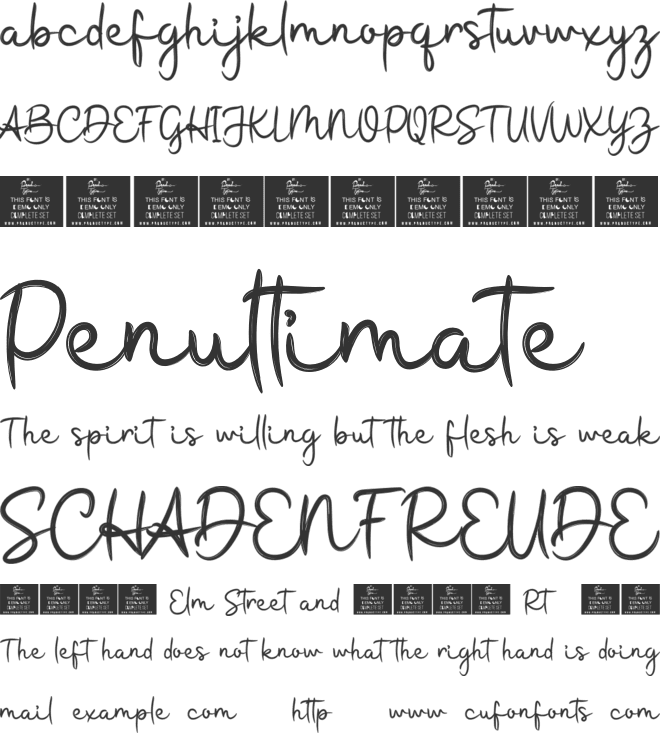 Sanity font preview