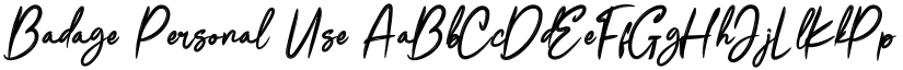 Badage Personal Use font