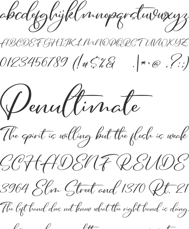Daywala FREE font preview