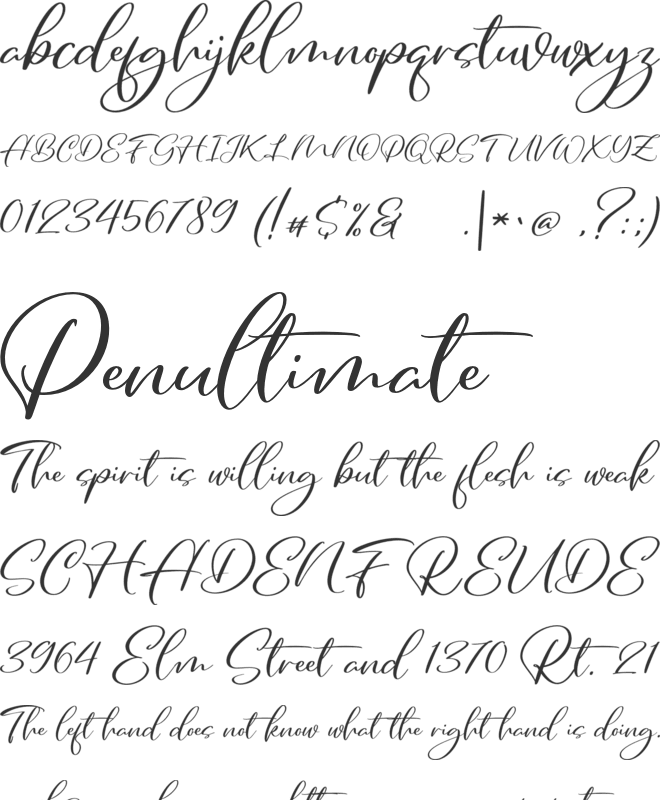 Daywala FREE font preview