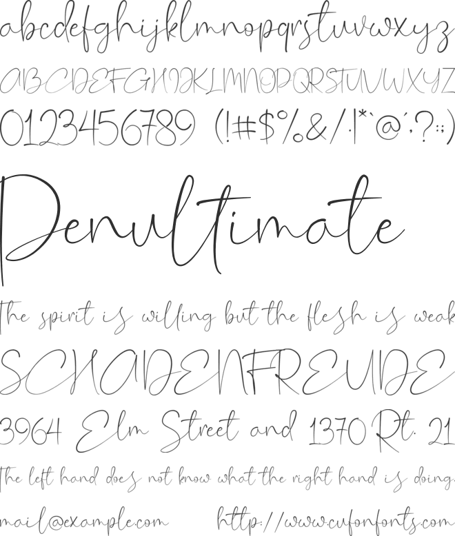 Cassey font preview