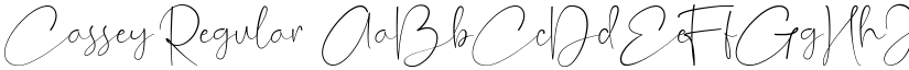 Cassey Regular font
