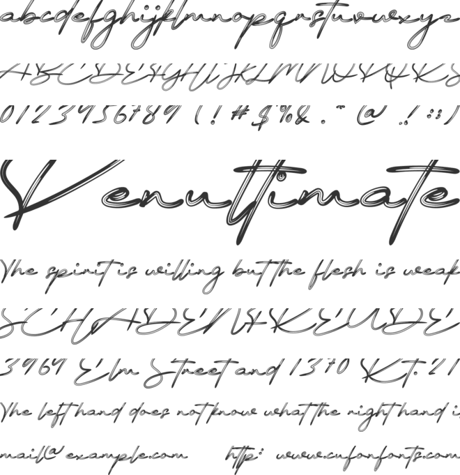 Signature December font preview