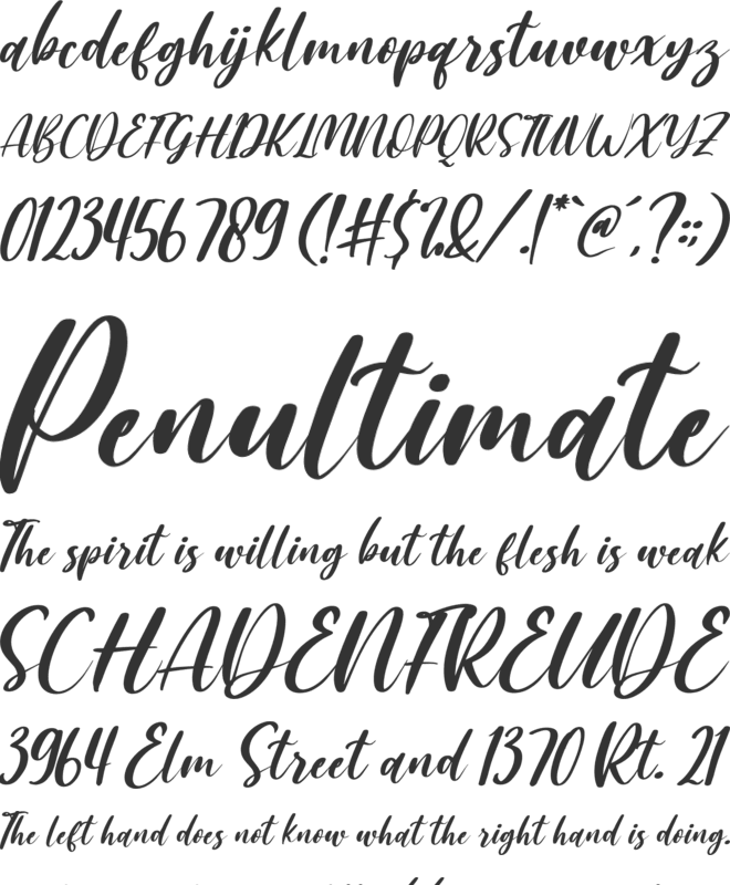 Amallia and Ronaldo font preview