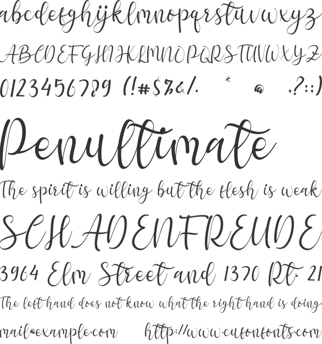 hello chamelia font preview