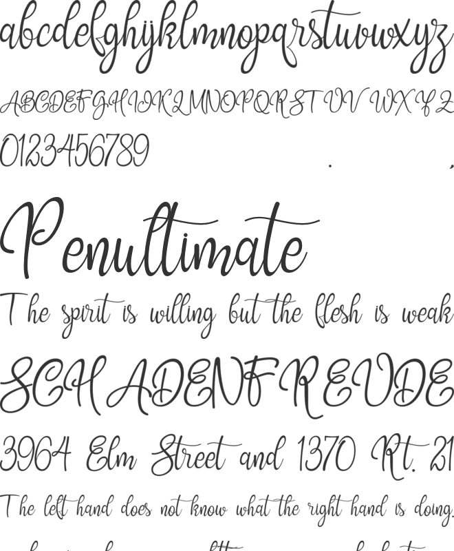 Grookey Shawn font preview