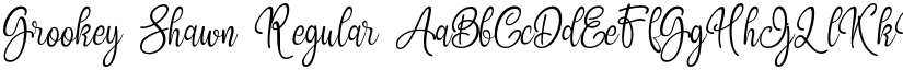 Grookey Shawn Regular font