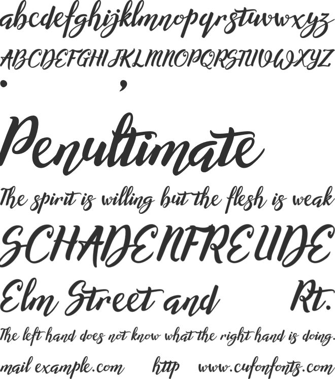 Willynta font preview