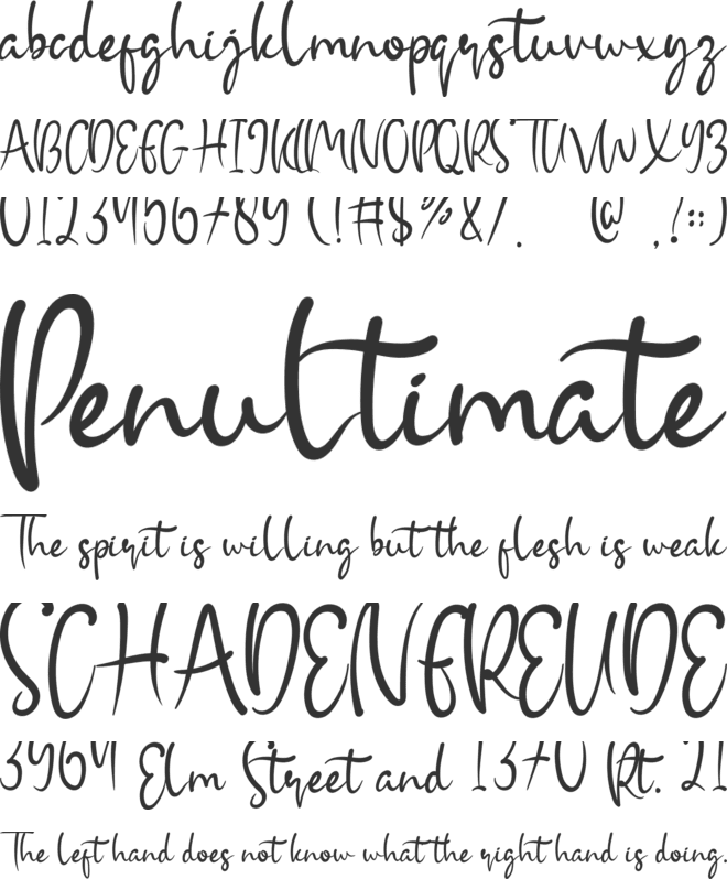 Entaman font preview