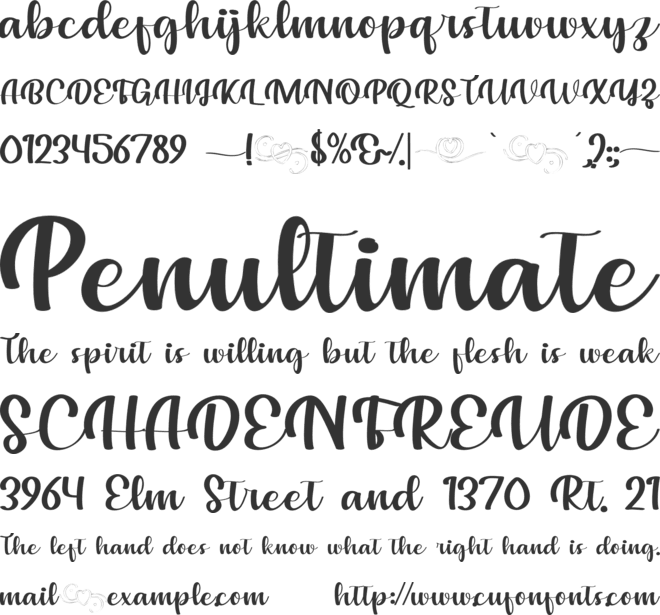 Your Love Tonight font preview