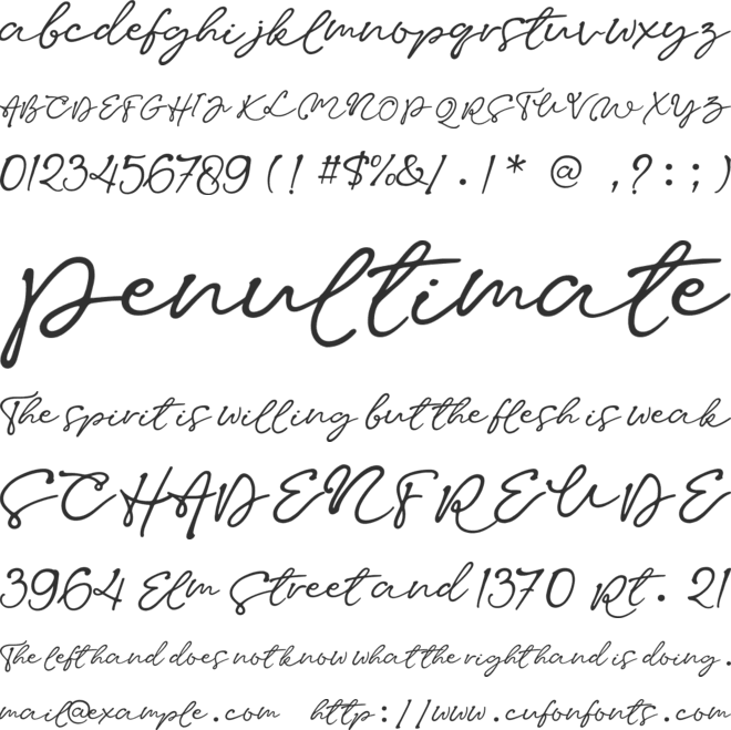 SWAHA font preview