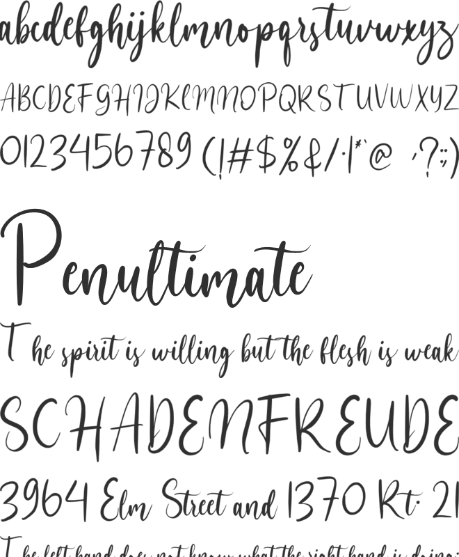 butterfly font preview