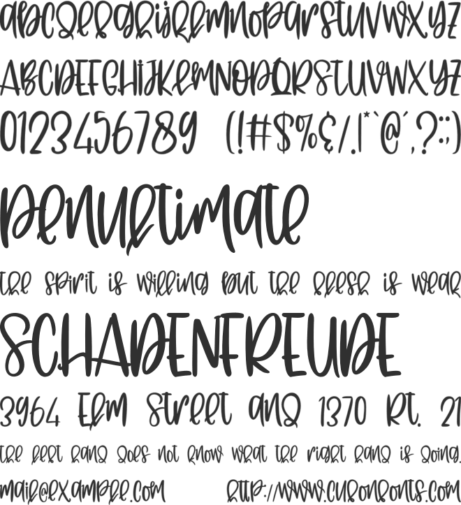Flying Homies font preview