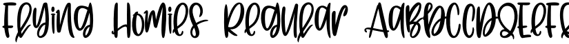 Flying Homies Regular font
