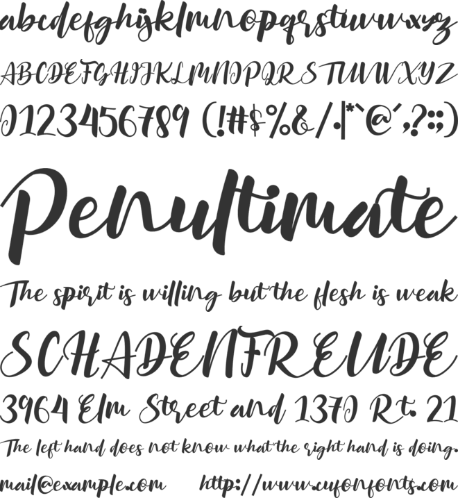 Mellisa Disella font preview