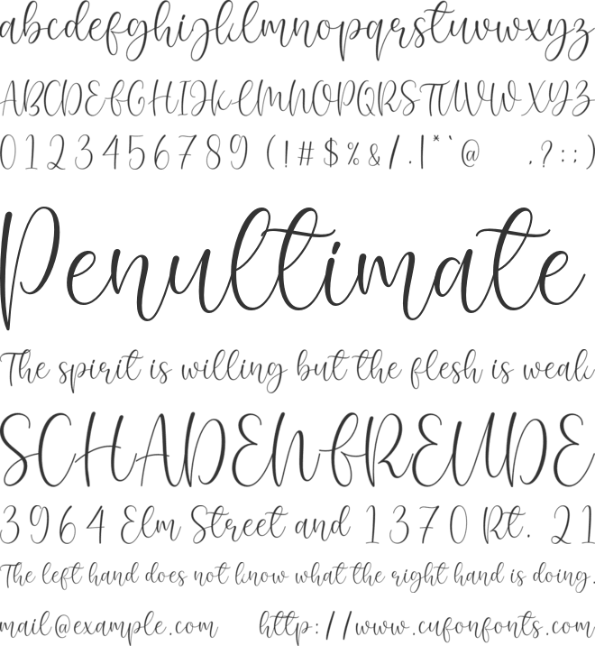 Pinky Budy font preview