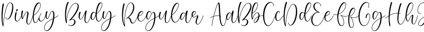 Pinky Budy Regular font